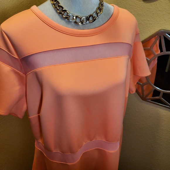 Boutique Coral Dress w/ Exposed Zipper 2x - Picture 5 of 8